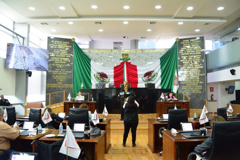 WhatsApp Image 2024-03-20 at 11.33.43 AM