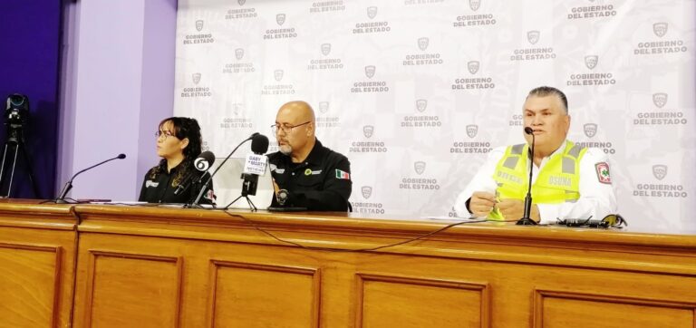 WhatsApp Image 2024-03-20 at 12.15.35 PM (1)