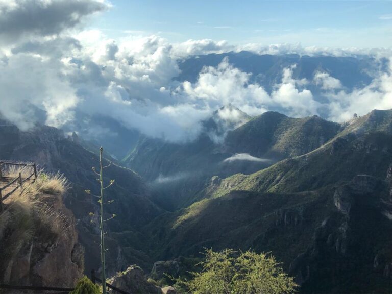 WhatsApp Image 2024-03-20 at 12.26.24 PM