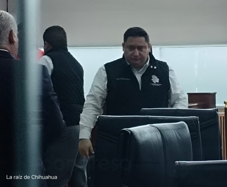 WhatsApp Image 2024-03-20 at 12.28.05 PM