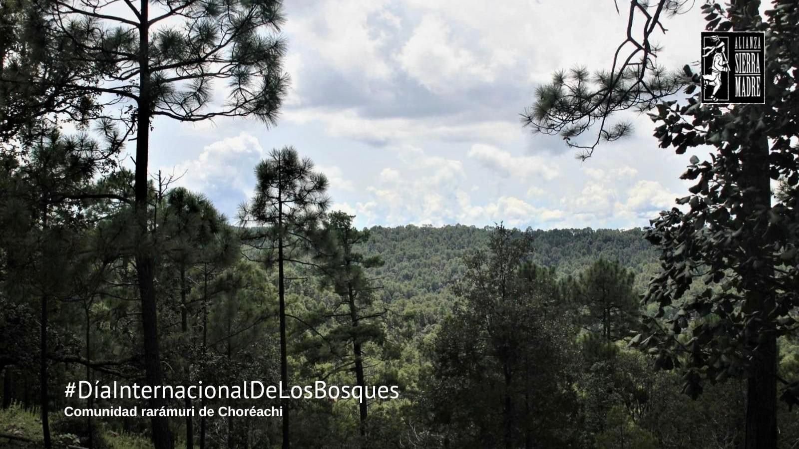 WhatsApp Image 2024-03-22 at 10.59.28 AM