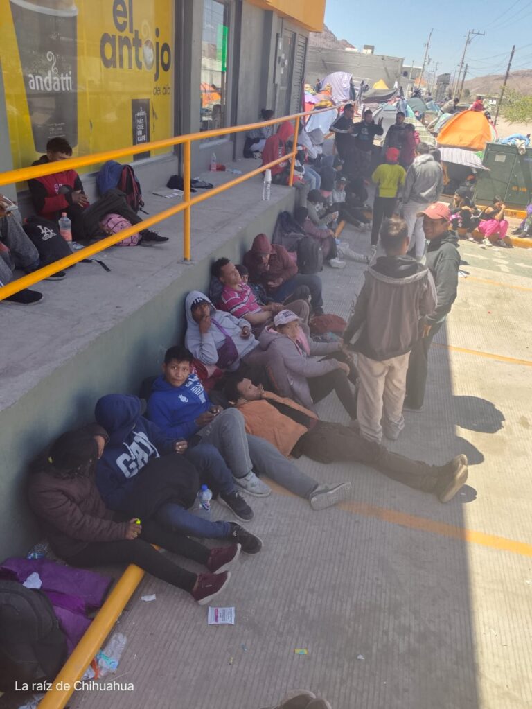 WhatsApp Image 2024-03-28 at 11.44.46 AM