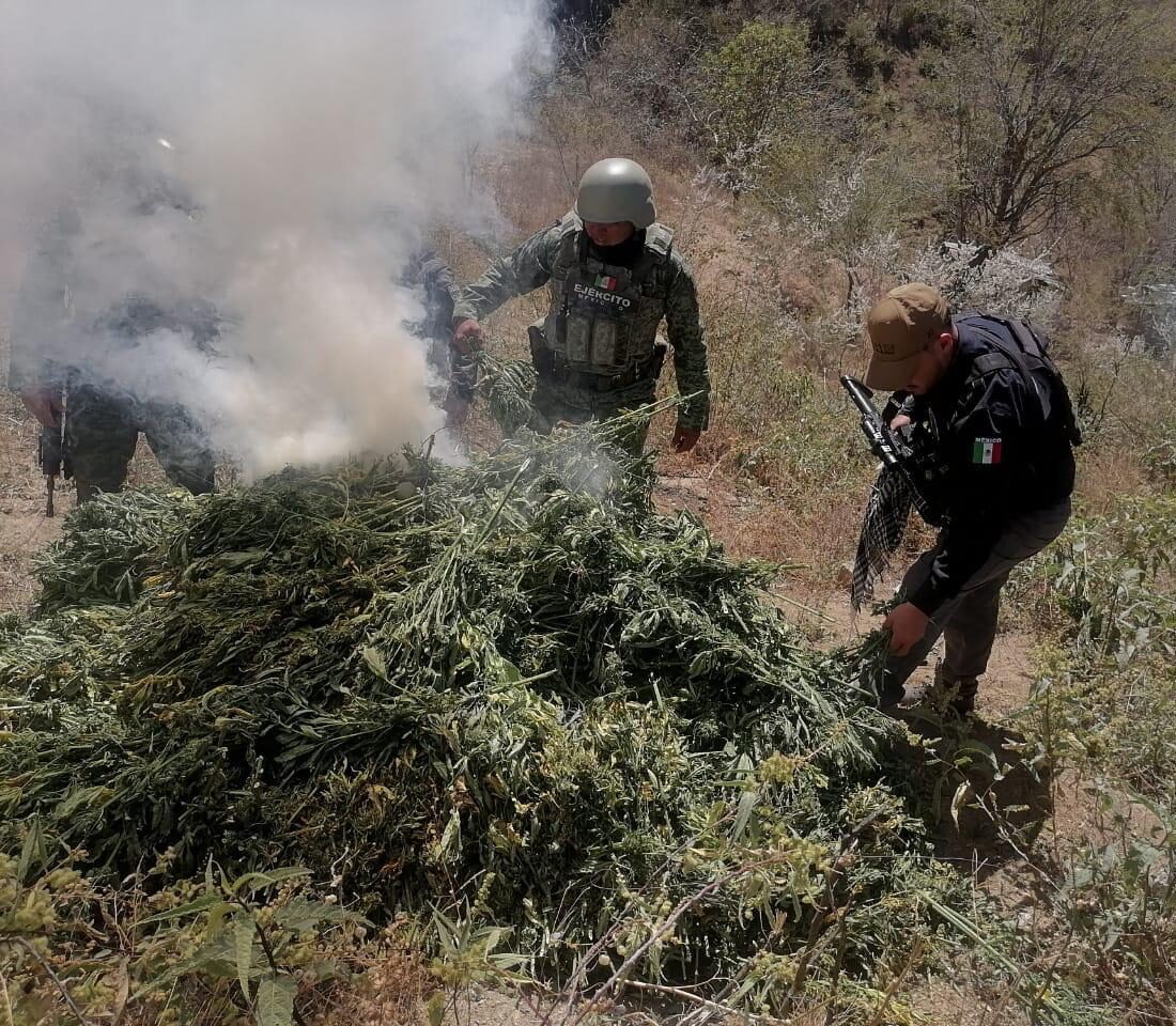 WhatsApp Image 2024-03-29 at 10.27.46 AM