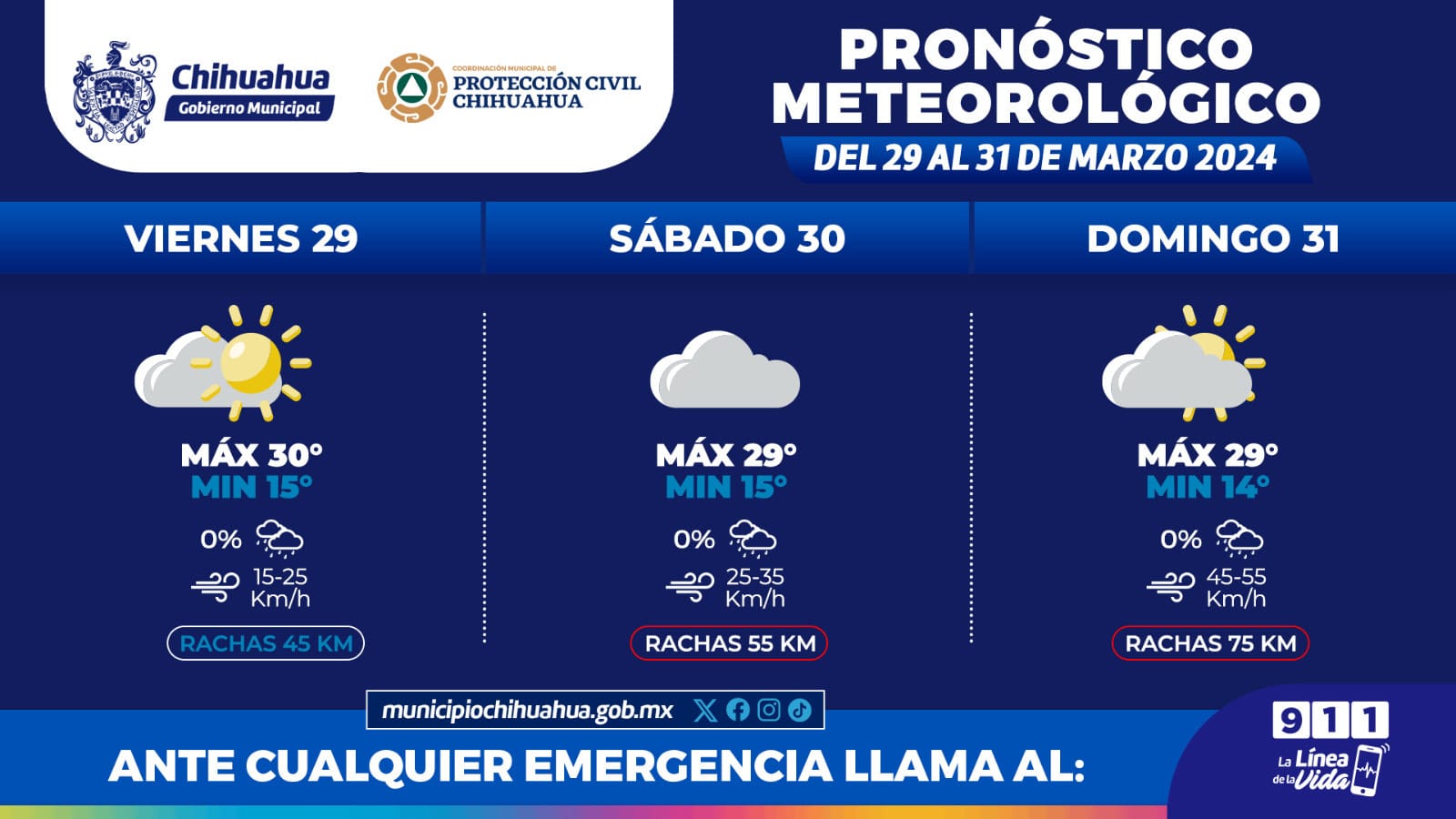 WhatsApp Image 2024-03-29 at 10.31.12 AM