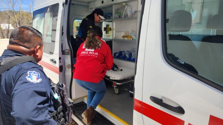 WhatsApp Image 2024-03-29 at 9.54.57 AM