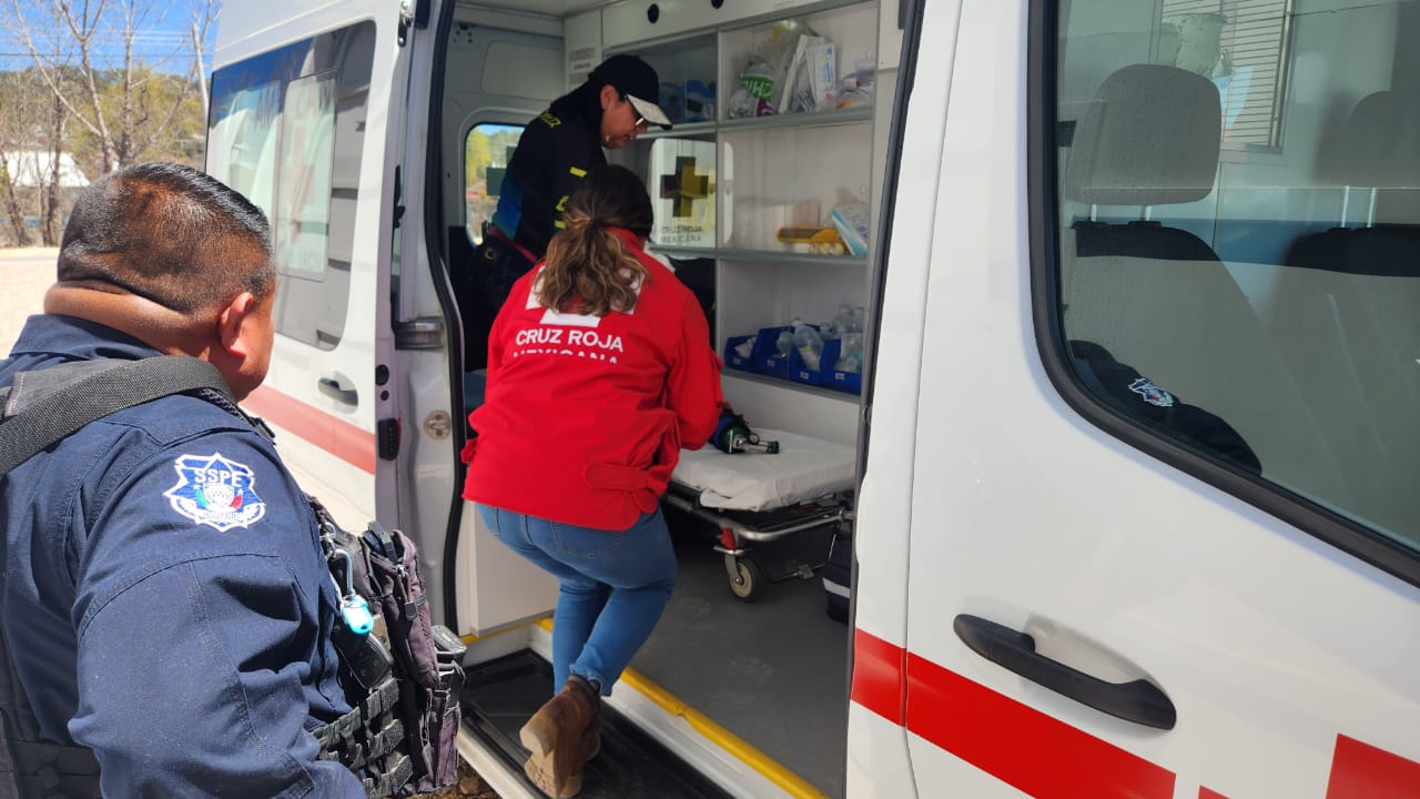 WhatsApp Image 2024-03-29 at 9.54.57 AM