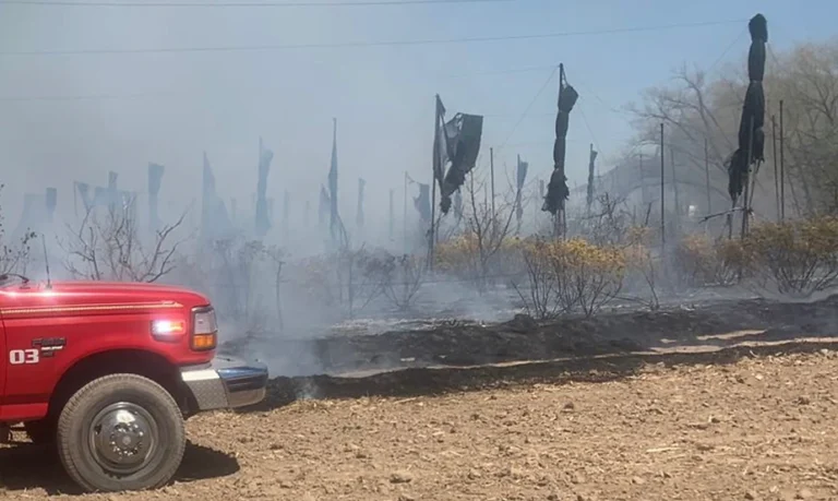 7ac534_133900b02bba4097a8a2e877fc19de25~mv2