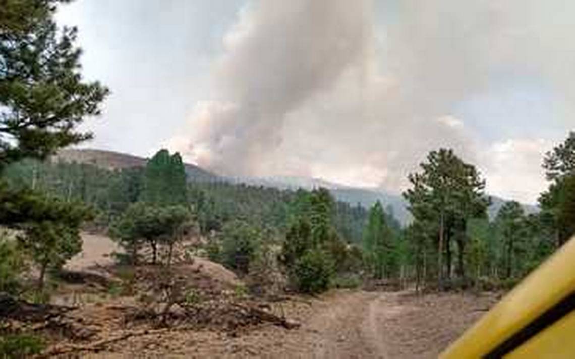 Incendios Forestales