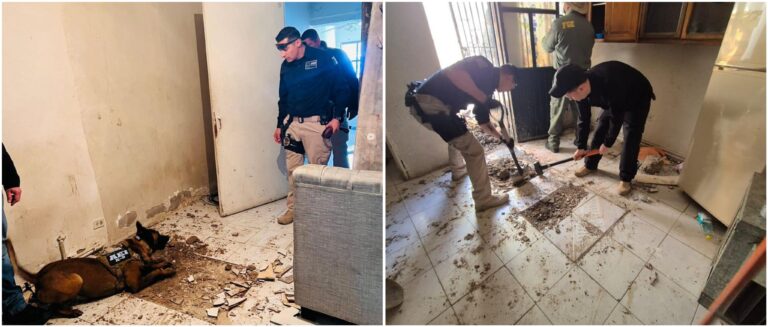 Polish_20240402_205901960