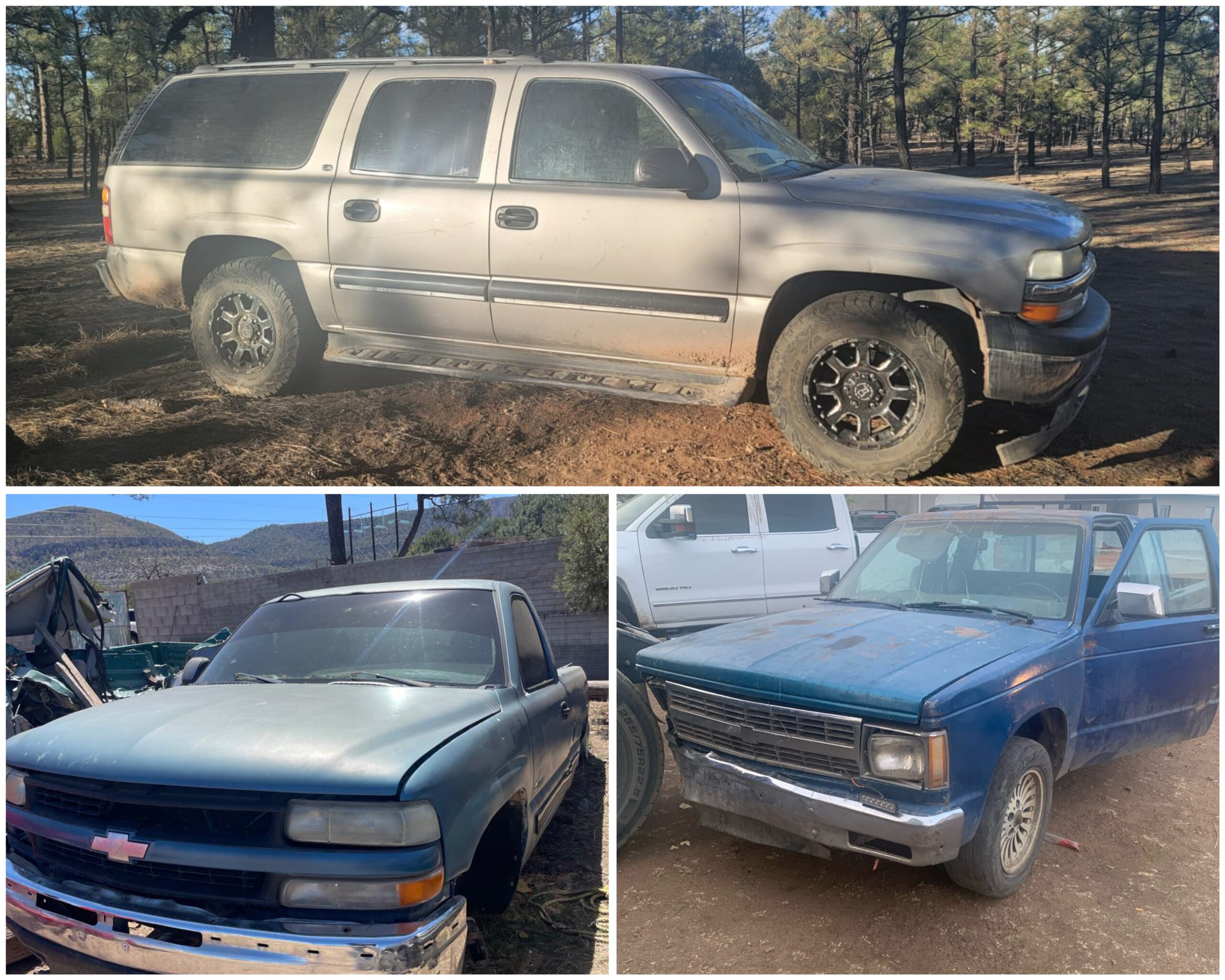 Polish_20240418_115438453