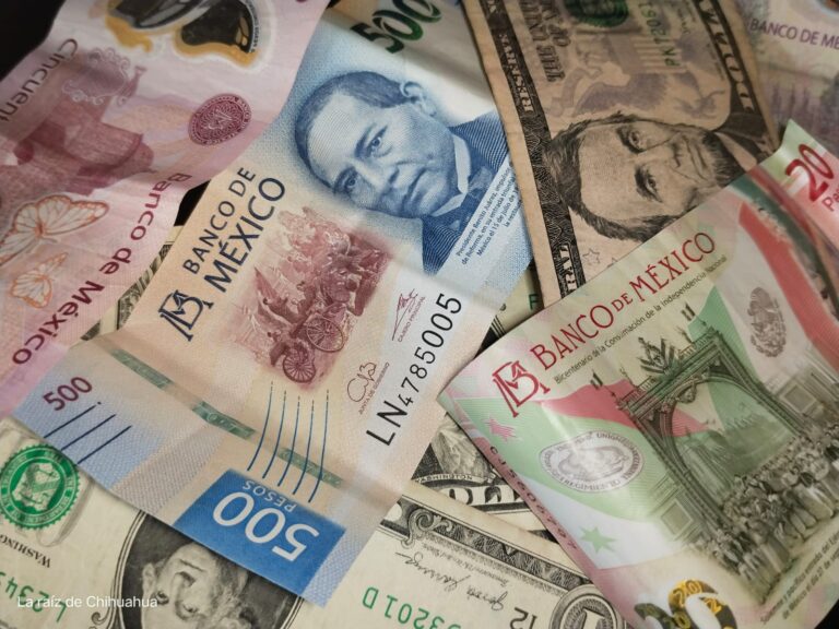 WhatsApp Image 2024-04-17 at 8.34.34 AM