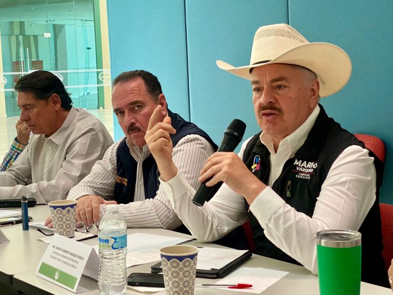 WhatsApp Image 2024-04-19 at 8.55.29 AM