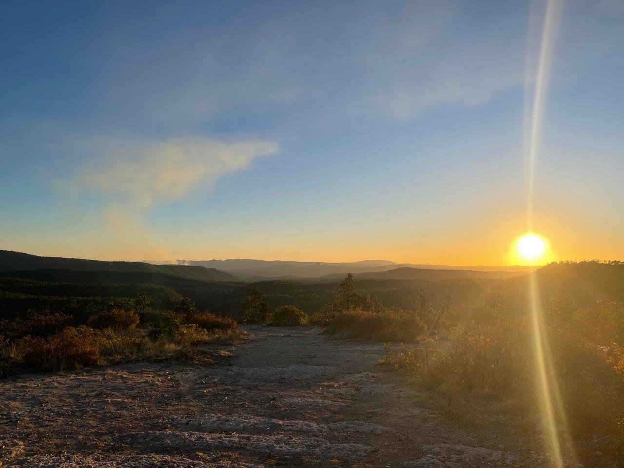 WhatsApp Image 2024-04-20 at 11.10.51 AM