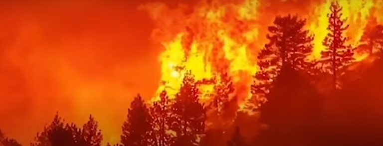 Captura de pantalla 2024-05-17 065112