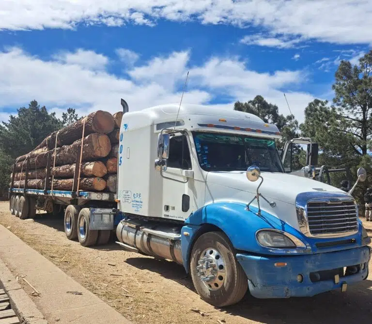 WhatsApp Image 2024-05-12 at 10.05.18 AM (1)