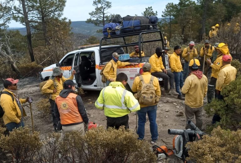 WhatsApp Image 2024-05-13 at 2.46.35 PM