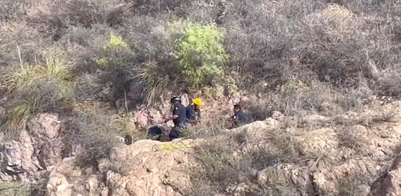 Captura de pantalla 2024-06-10 100635