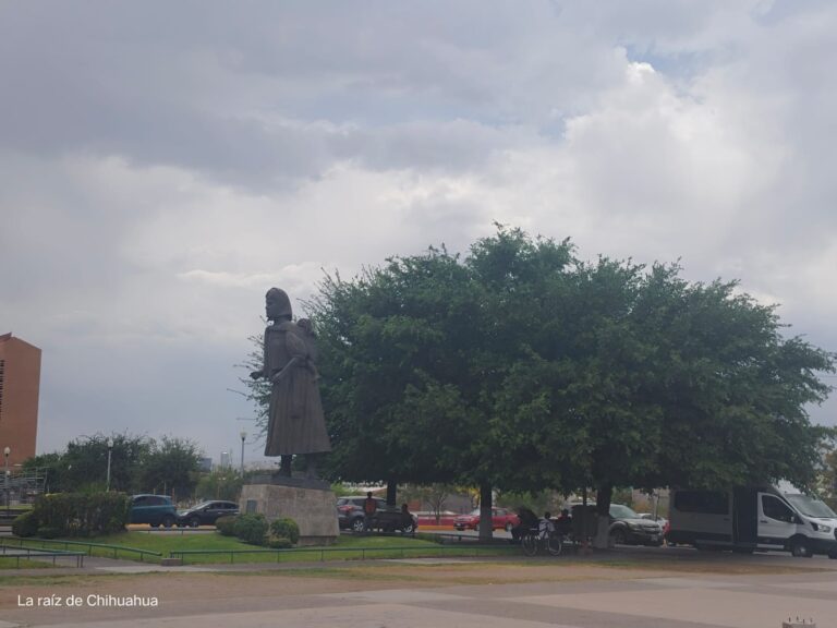 WhatsApp Image 2024-06-08 at 8.13.09 AM