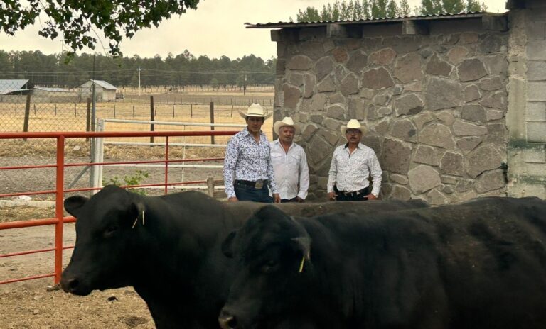 WhatsApp Image 2024-06-11 at 8.49.52 AM