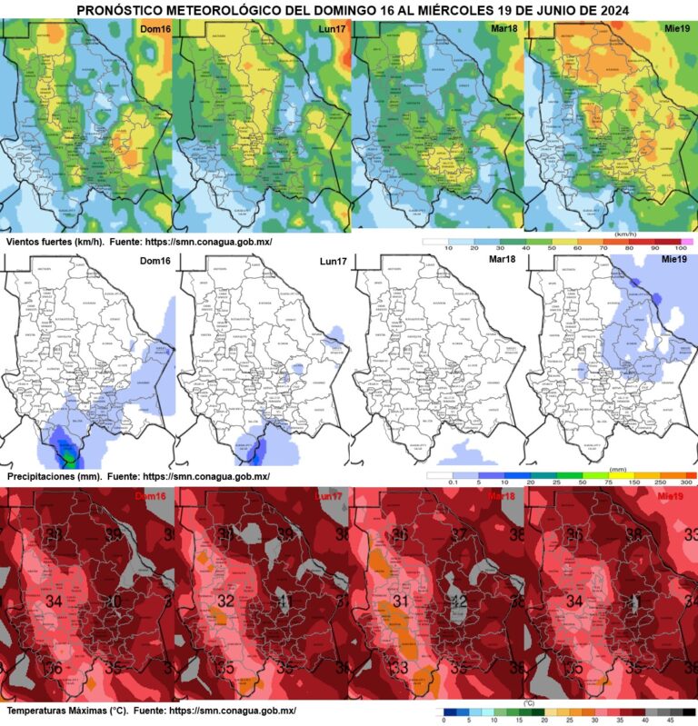WhatsApp Image 2024-06-16 at 8.47.31 AM