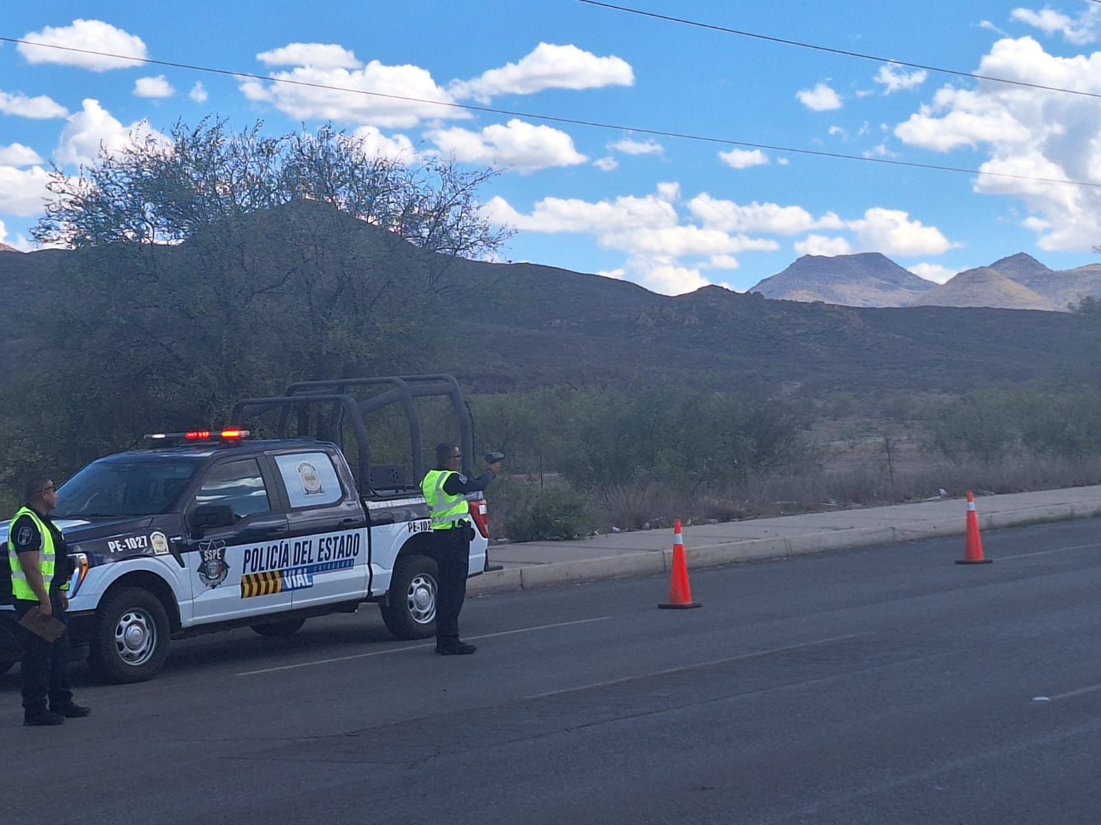 WhatsApp Image 2024-06-26 at 9.17.39 AM