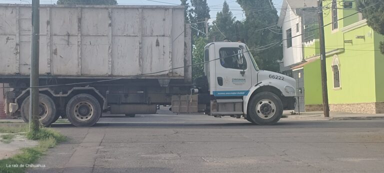 IMG_20240712_081815_1