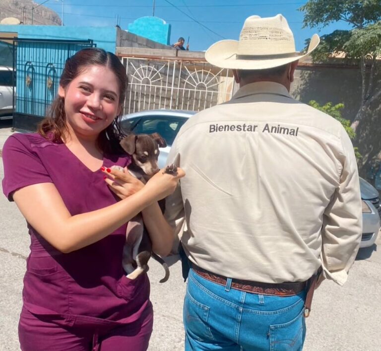 WhatsApp Image 2024-07-22 at 9.50.50 AM