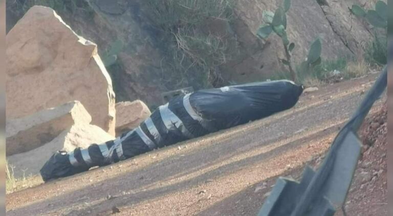 principal_inshot_20240711_081508150