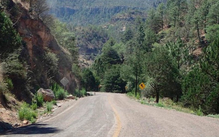 Captura de pantalla 2024-08-12 120746