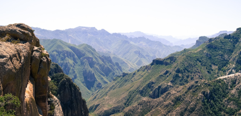 Captura de pantalla 2024-08-26 071017