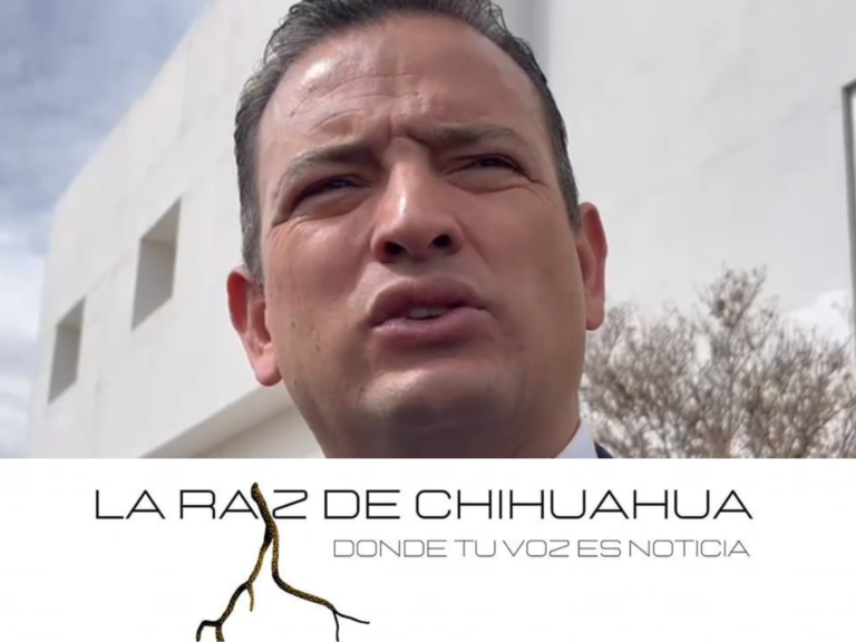 Diseño sin título (15)