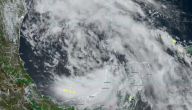 Screenshot_2024_0820_135619