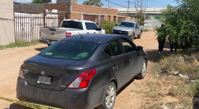 WhatsApp Image 2024-08-02 at 11.58.15 AM