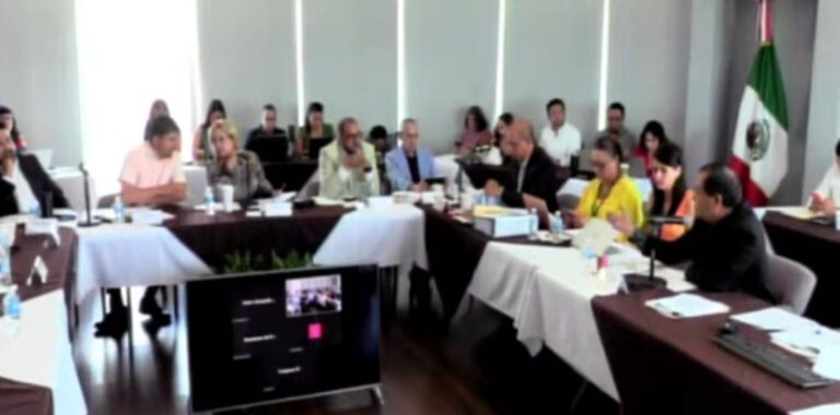 WhatsApp Image 2024-08-02 at 12.45.43 PM