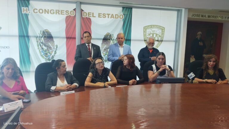 WhatsApp Image 2024-08-13 at 11.28.00 AM