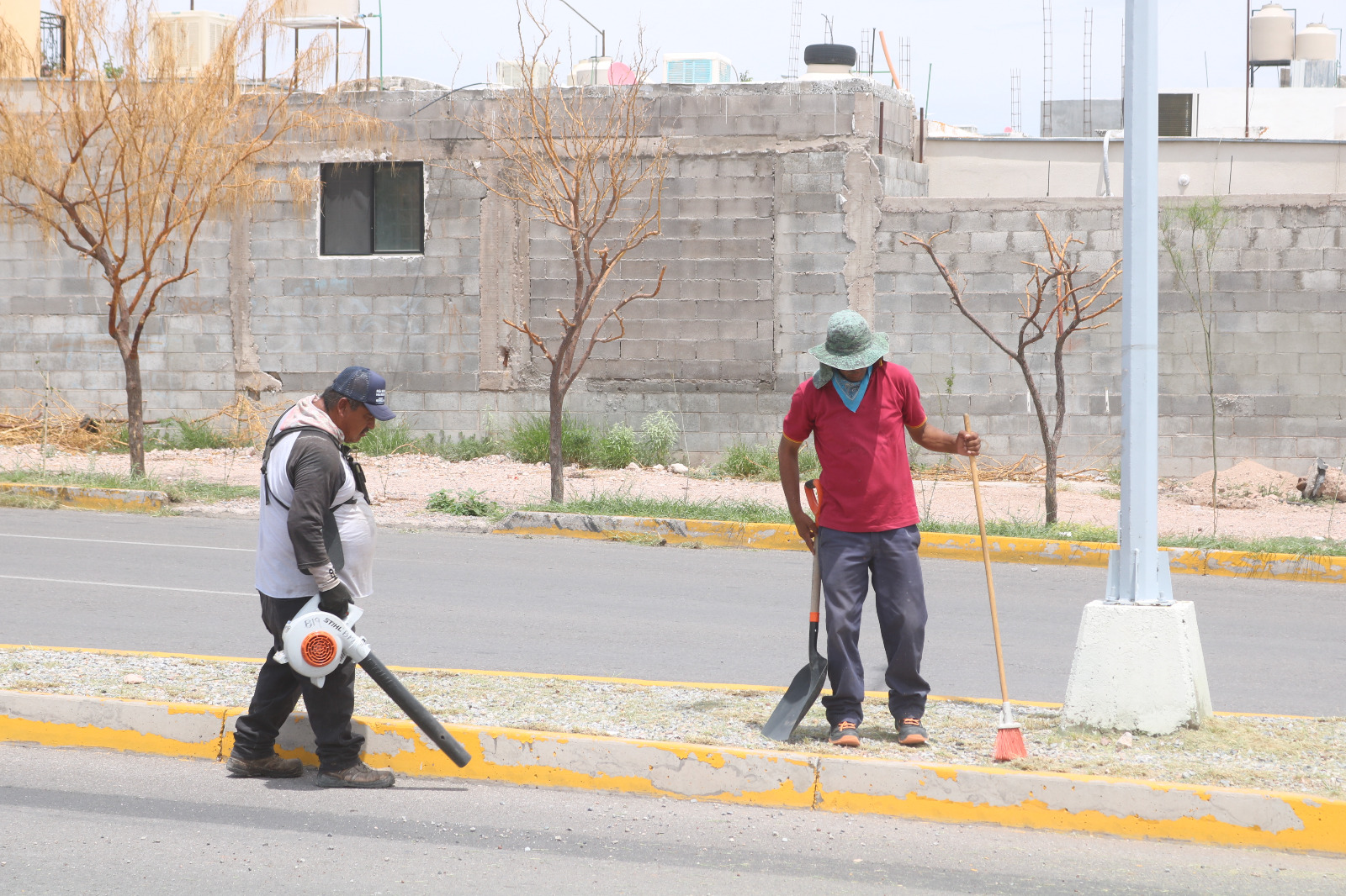 WhatsApp Image 2024-08-14 at 9.13.23 AM