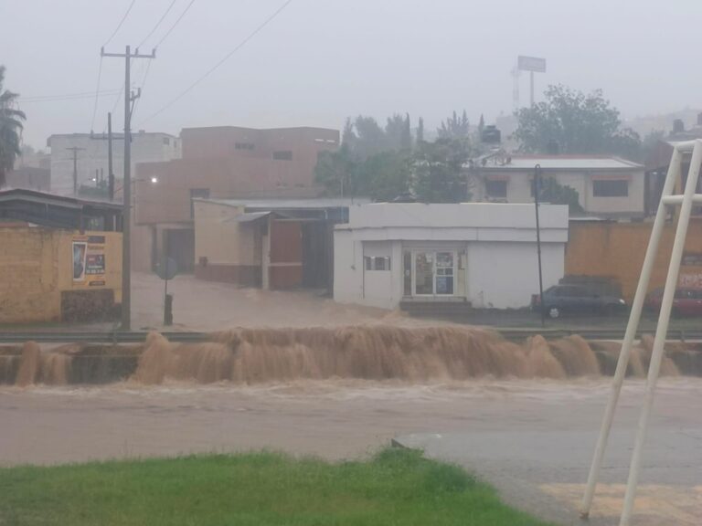 WhatsApp Image 2024-08-29 at 1.27.26 PM