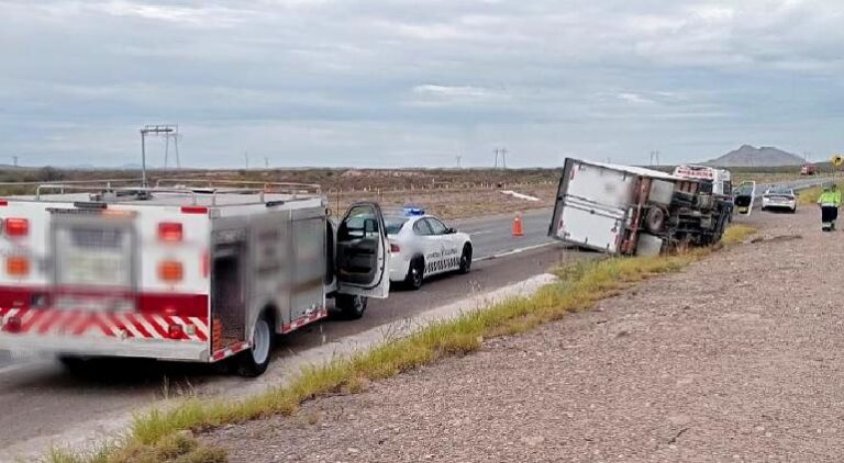 WhatsApp Image 2024-08-29 at 10.31.45 AM