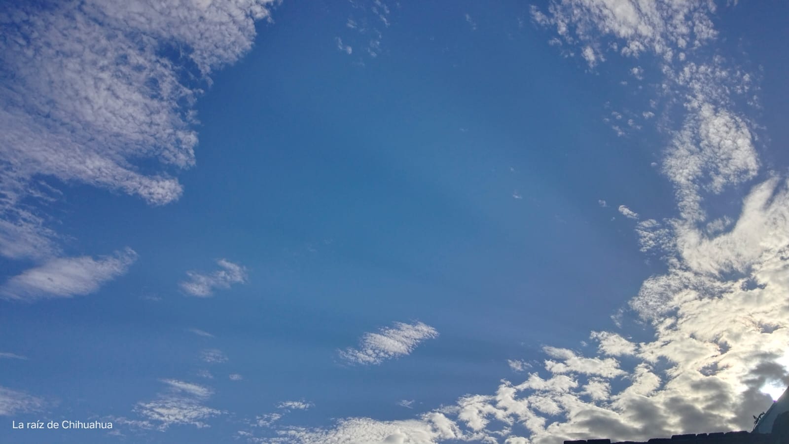 WhatsApp Image 2024-08-29 at 7.40.47 AM