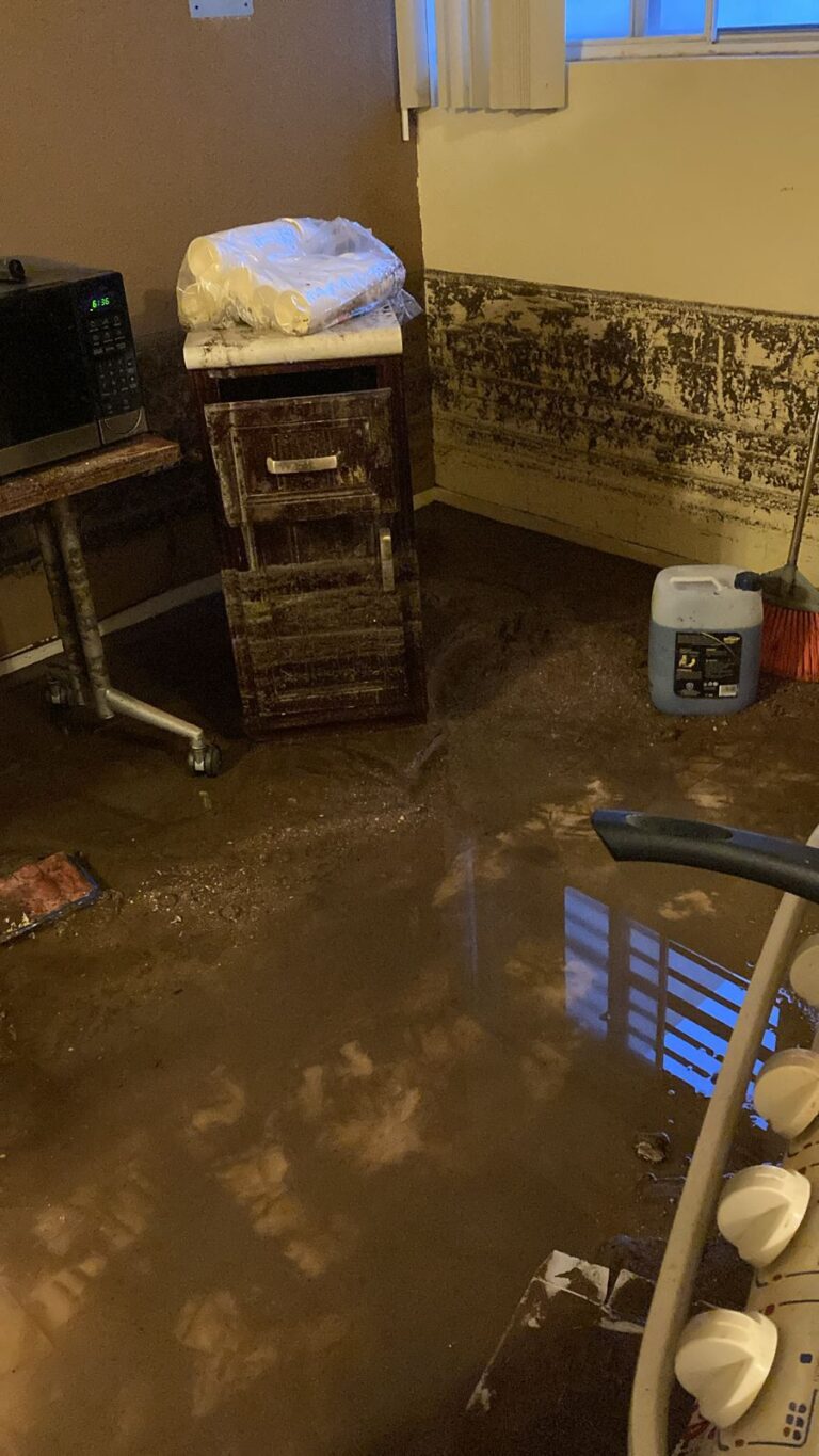 WhatsApp Image 2024-08-30 at 10.09.35 AM (1)