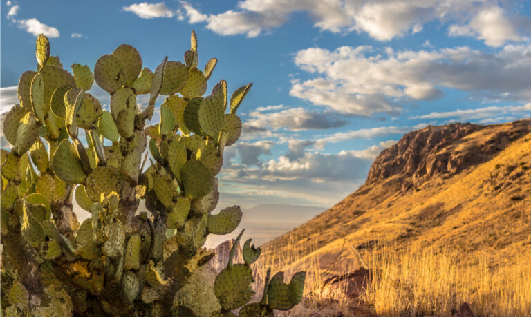 que-ver-en-chihuahua