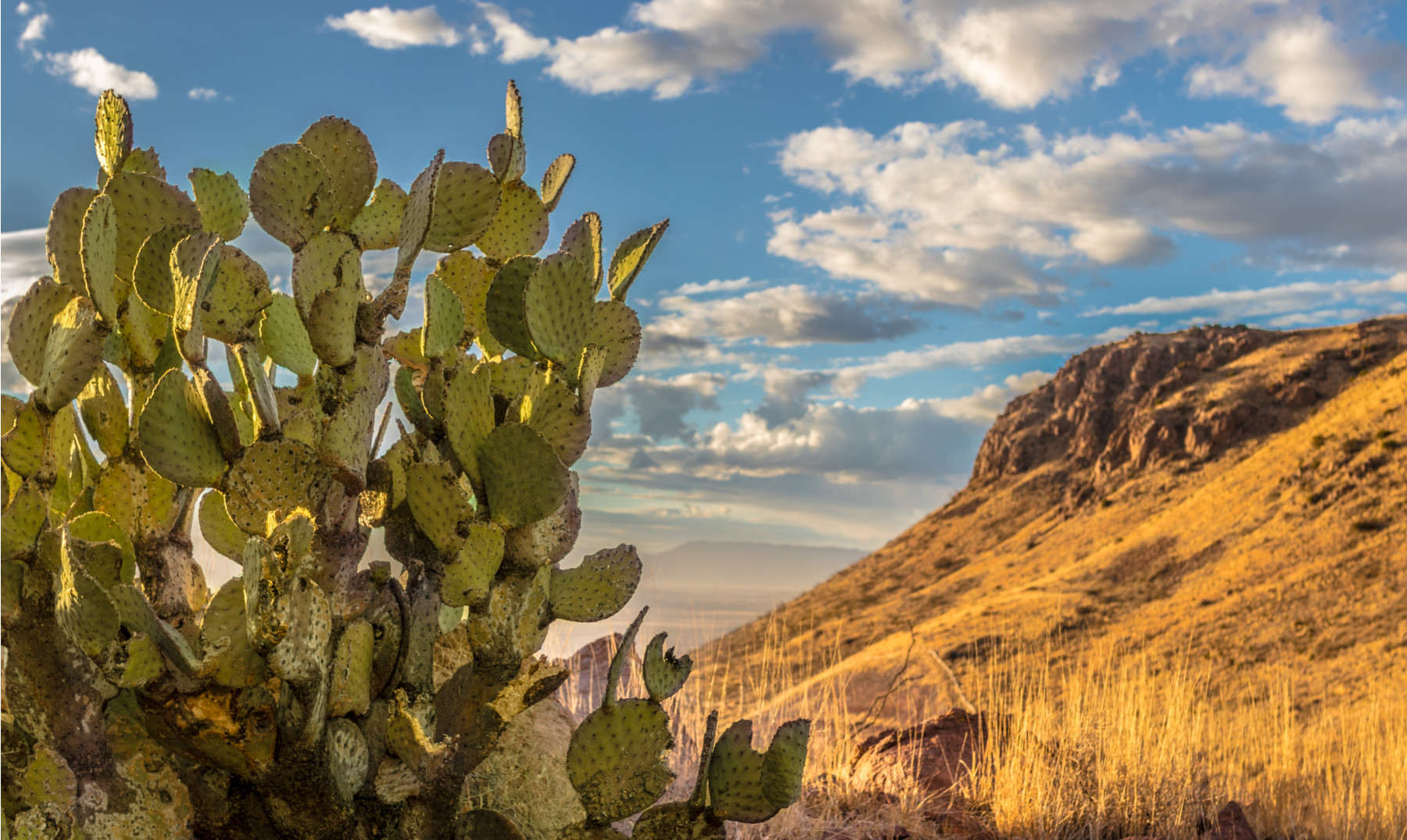 que-ver-en-chihuahua
