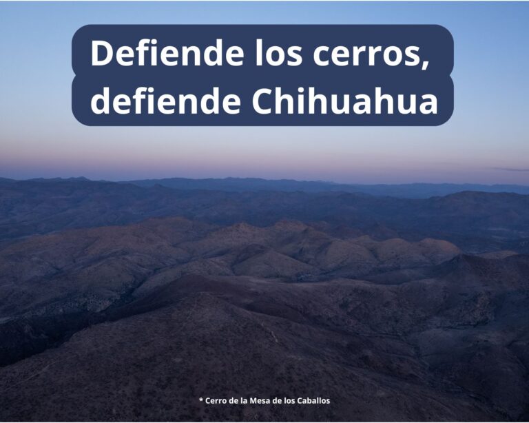 5b436020-230b-4ee2-885c-8a50ef8fc3e4