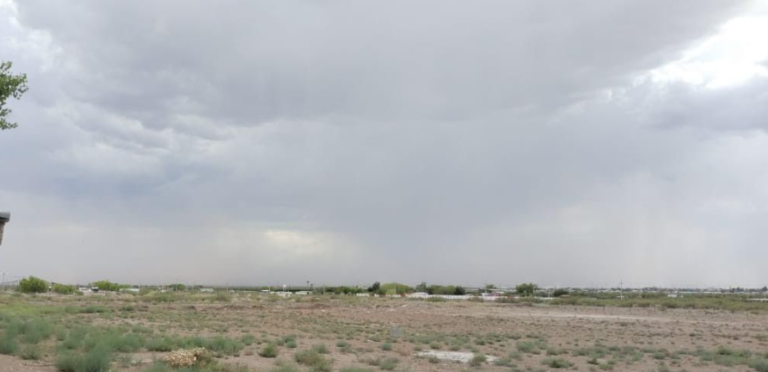 Captura de pantalla 2024-09-01 104934