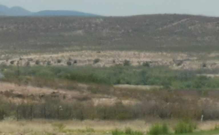 Captura de pantalla 2024-09-02 093437