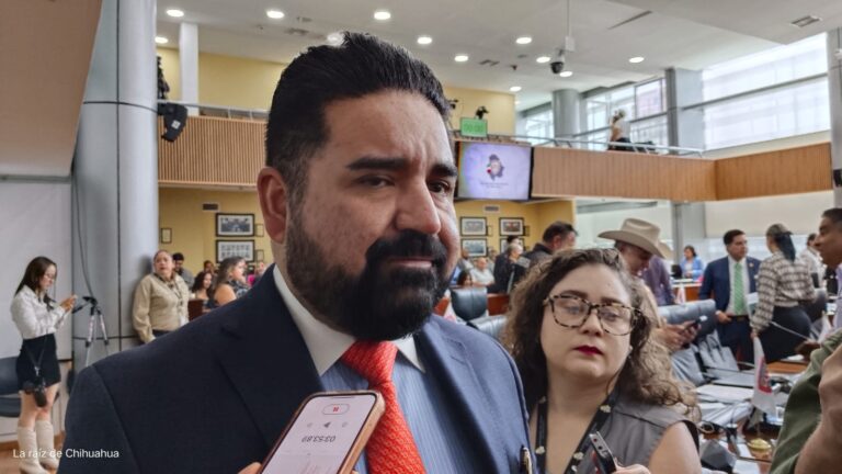 WhatsApp Image 2024-09-10 at 12.16.27 PM