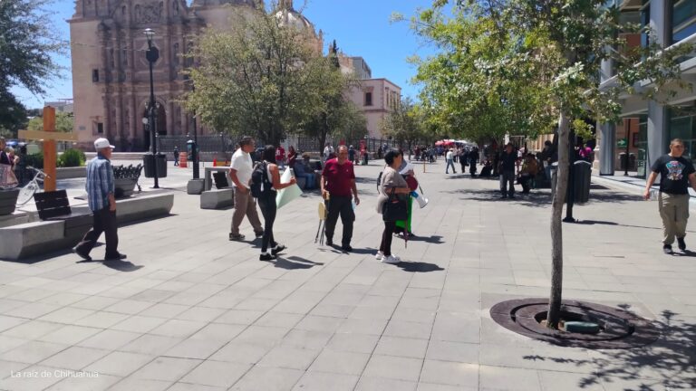 WhatsApp Image 2024-09-11 at 5.55.42 PM