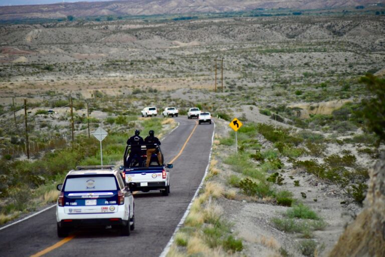 WhatsApp Image 2024-09-11 at 8.27.22 AM