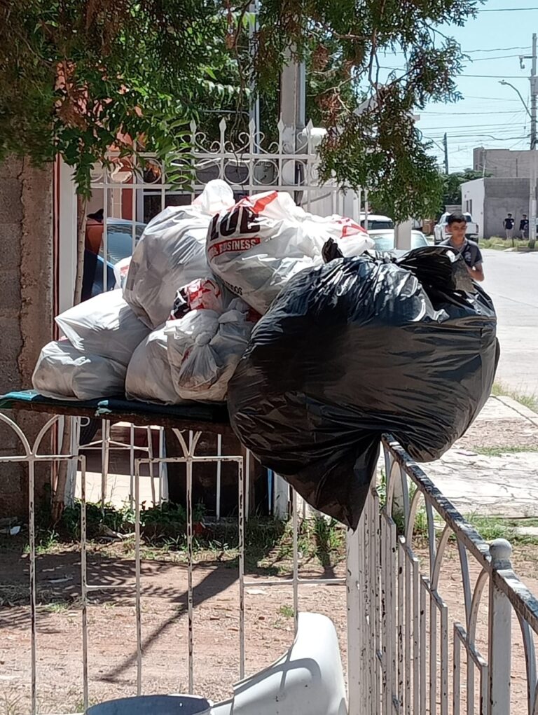 WhatsApp Image 2024-09-18 at 12.33.16 PM