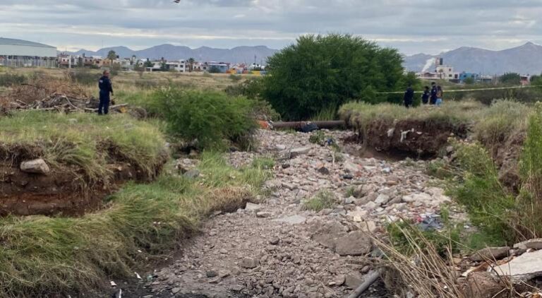 principal_inshot_20240904_083107503